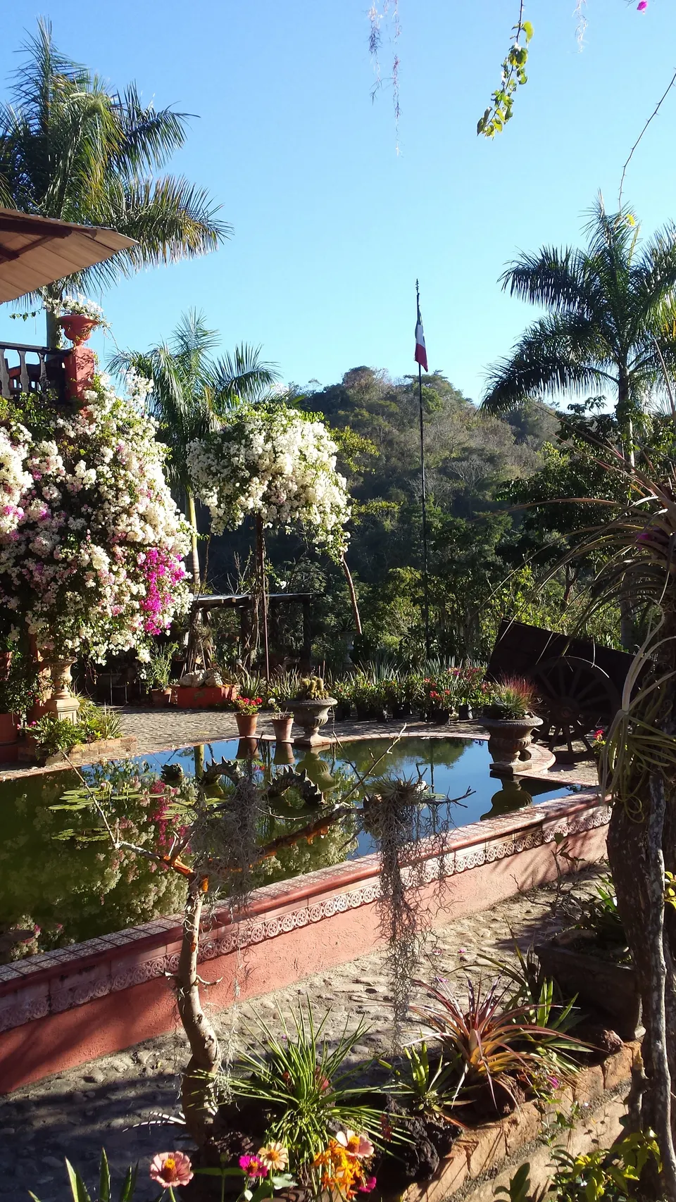 Conservatorio de orquídeas y exuberante vegetación tropical en el Jardín Botánico de Vallarta.