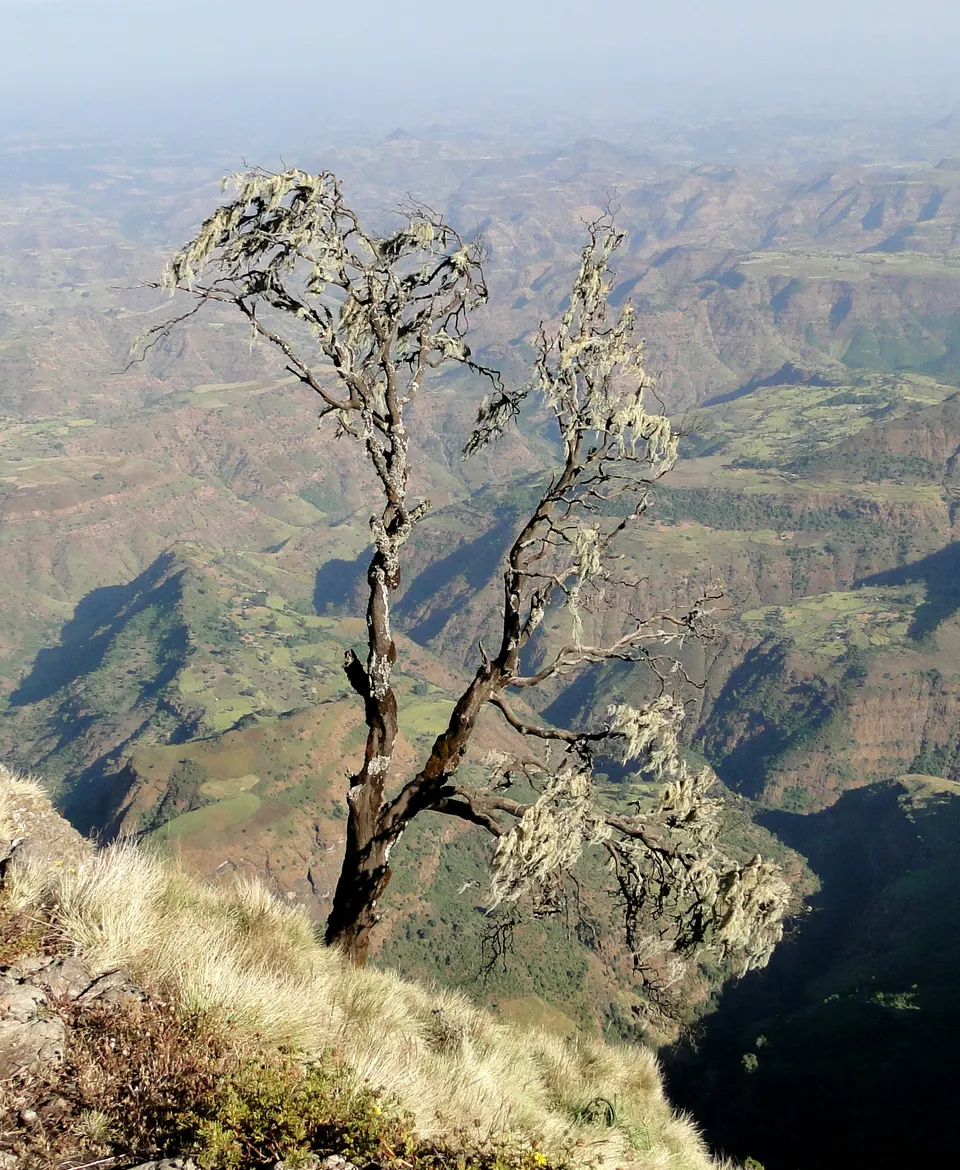 Majestuosa panorámica del relieve volcánico escarpado del Parque Nacional de las Montañas Simien.