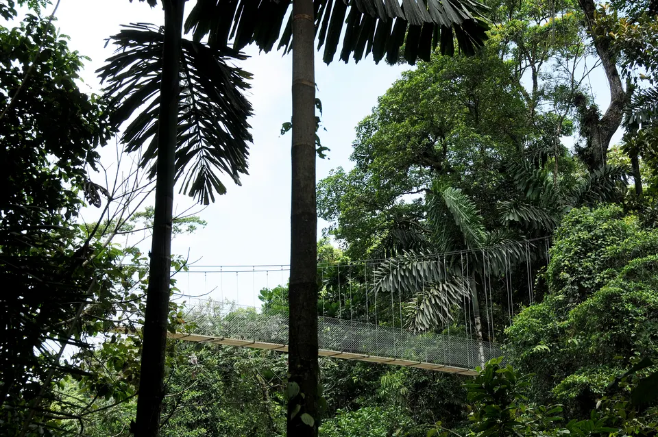 2013-05-29_08-46_Arenal_Hanging_Bridges_0685_adj en la-fortuna