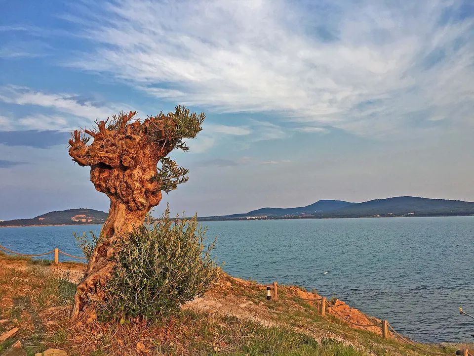 Isla volcánica de Santa Anastasia con su faro marítimo y monasterio en el golfo de Burgas.