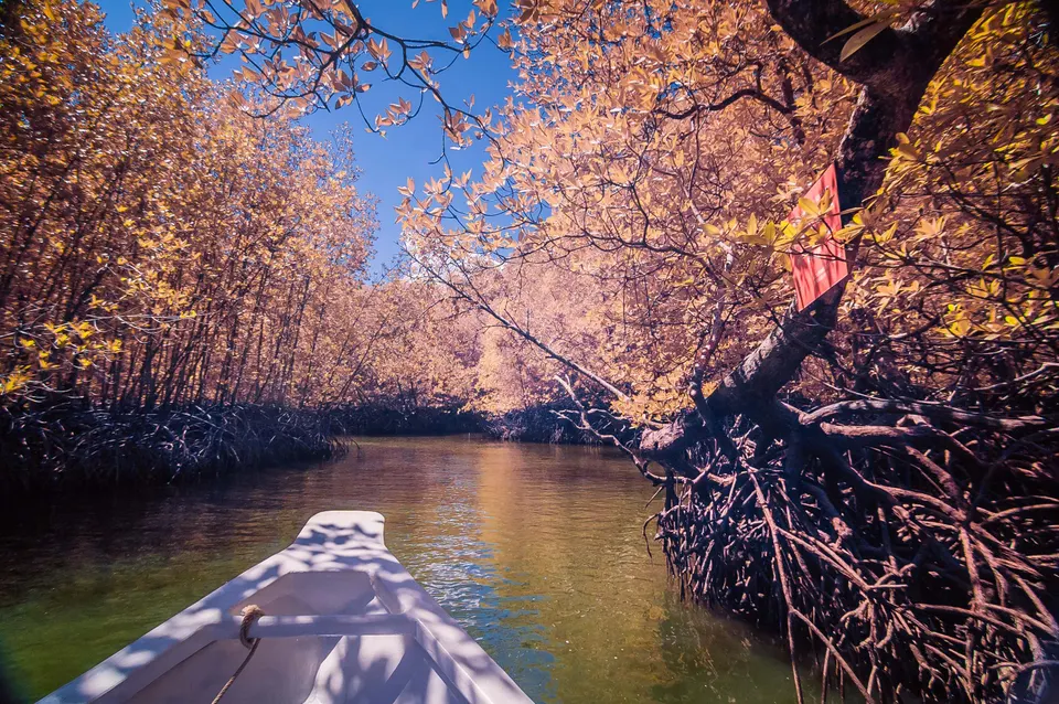 Lancha surcando los canales de manglar entre majestuosos farallones kársticos en Kilim Geoforest Park.