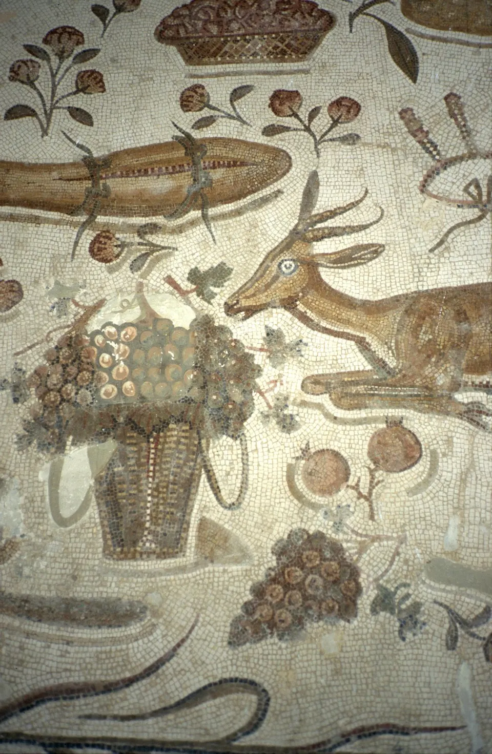Extraordinario mosaico romano expuesto en las salas de la Kasbah del Museo de Susa.