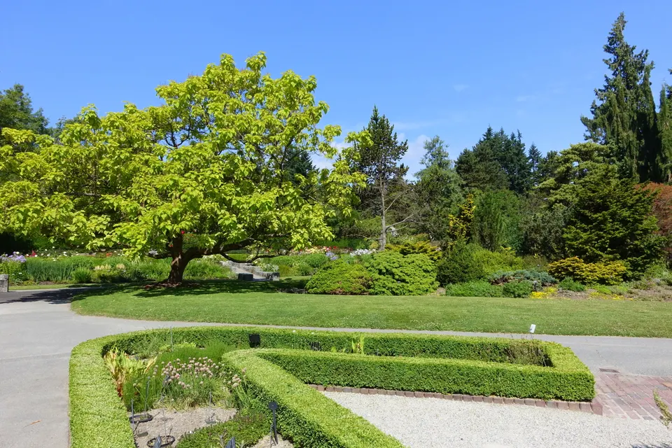 Jardines botánicos VanDusen con senderos serpenteantes, estanques y exuberante vegetación templada en Vancouver.