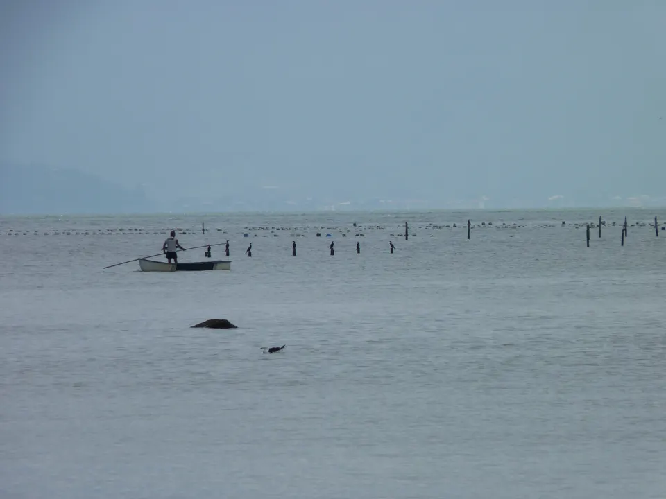 Caserío histórico azoriano y cultivos marinos de ostras frescas en la costa de Ribeirão da Ilha.