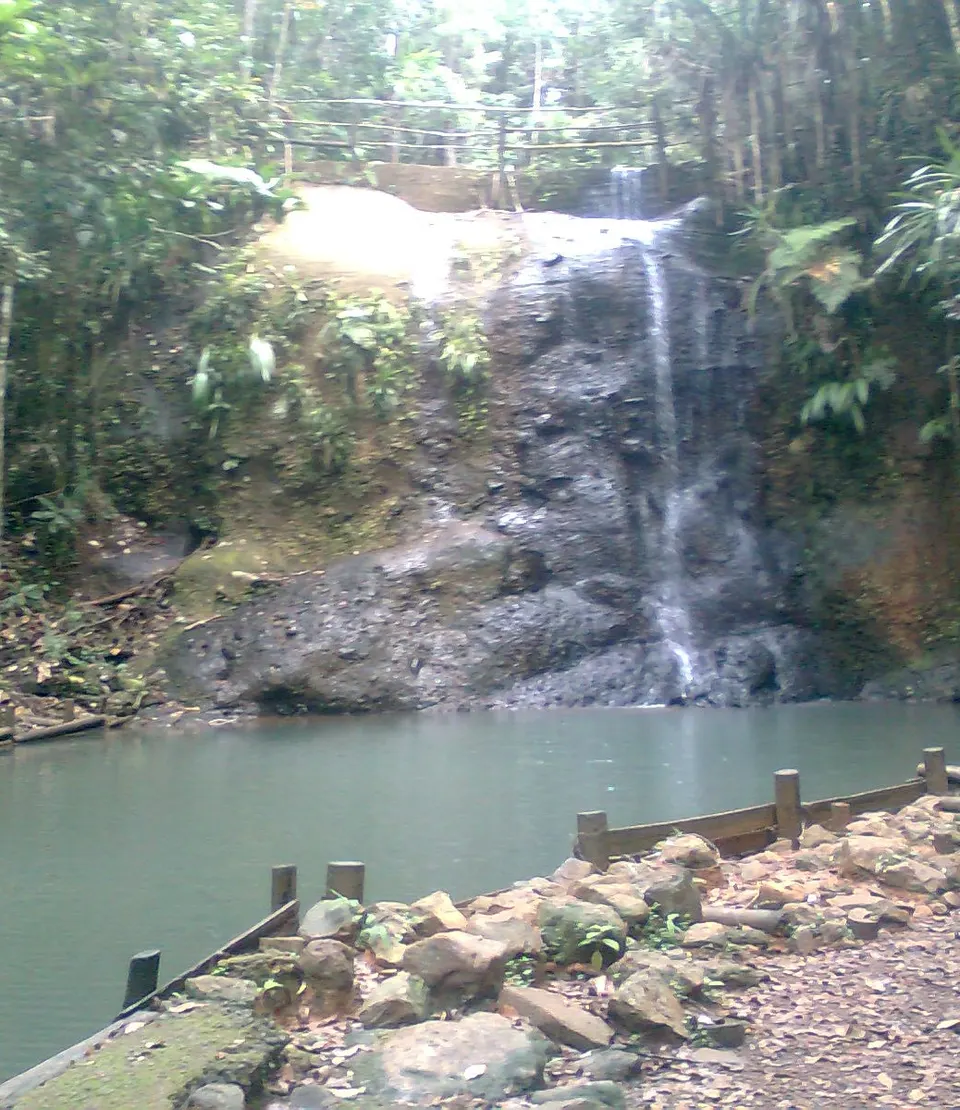 Cascada cristalina y piscina natural de agua dulce en plena selva tropical del parque Colo-i-Suva.