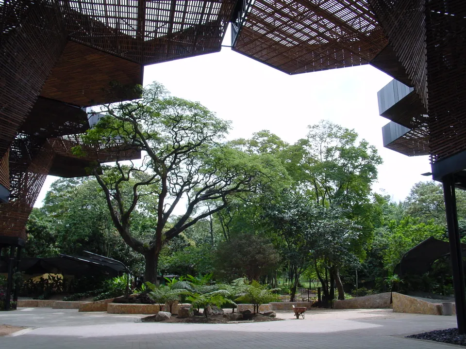 Estructura arquitectónica hexagonal de madera del Orquideorama en el Jardín Botánico de Medellín