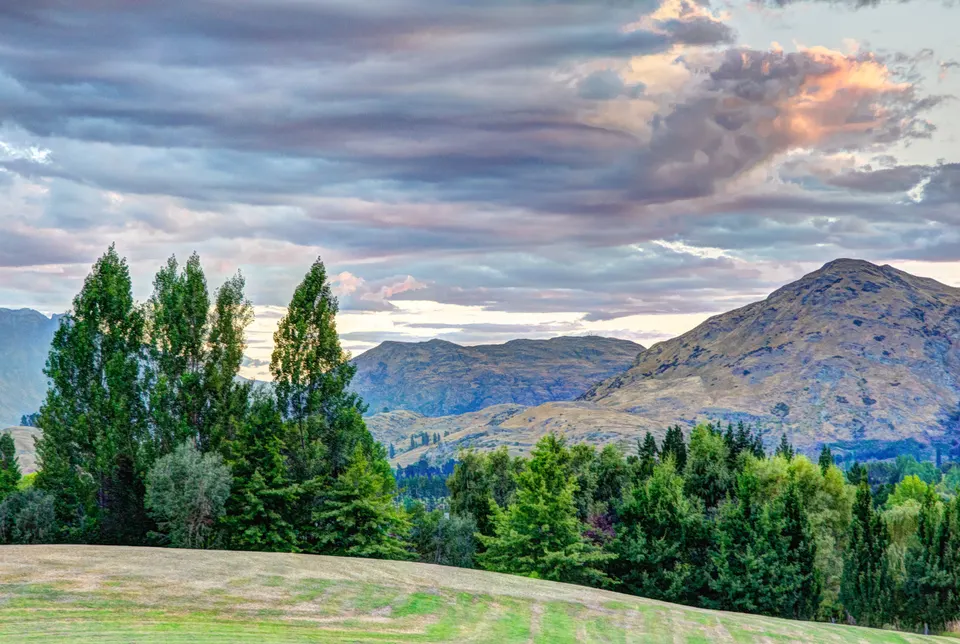 Avenida arbolada con follaje otoñal dorado y cabañas históricas de la fiebre del oro en Arrowtown.