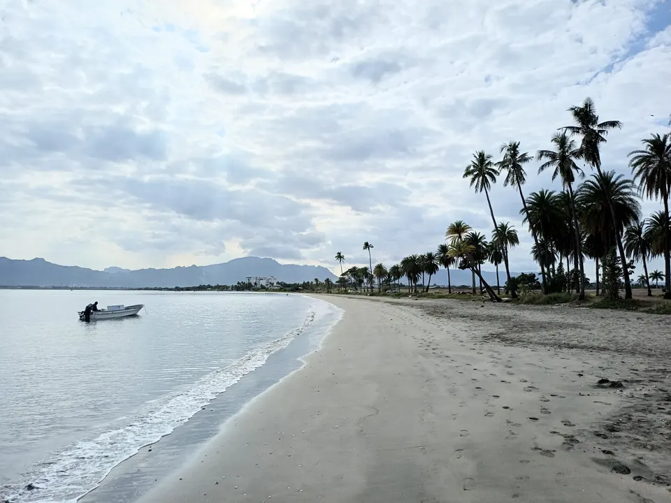 Orilla de la playa de Wailoaloa en Nadi durante el atardecer con palmeras y vistas a la bahía.