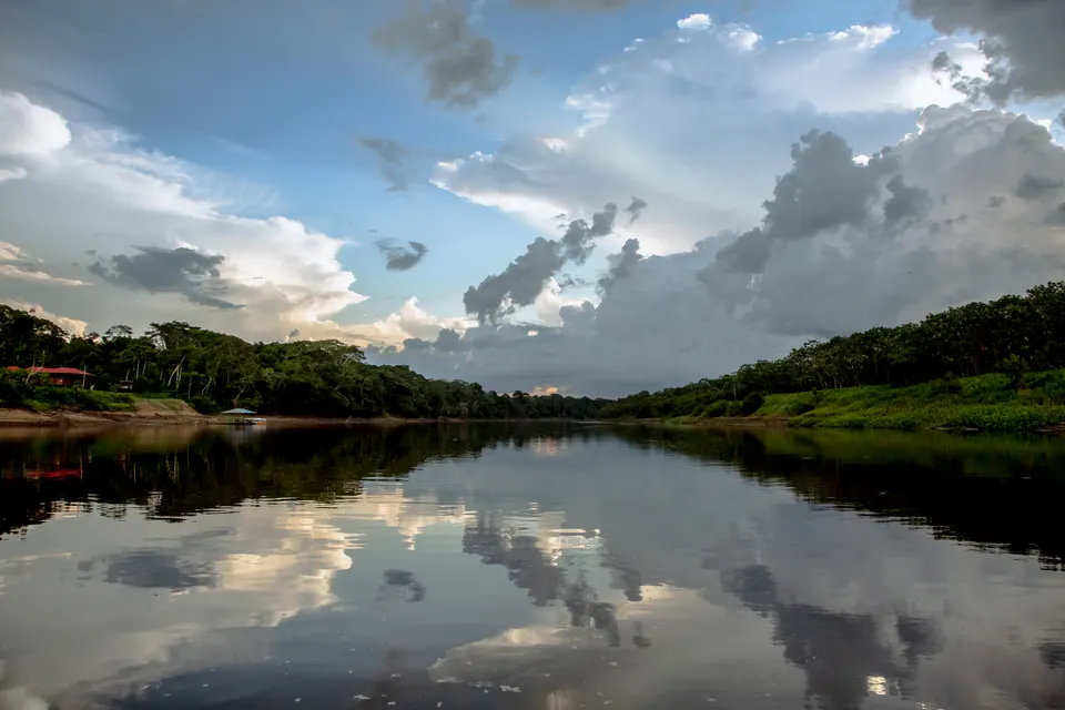 Reflejo nítido de la densa selva amazónica y las nubes sobre las aguas oscuras de la Reserva Nacional Pacaya Samiria