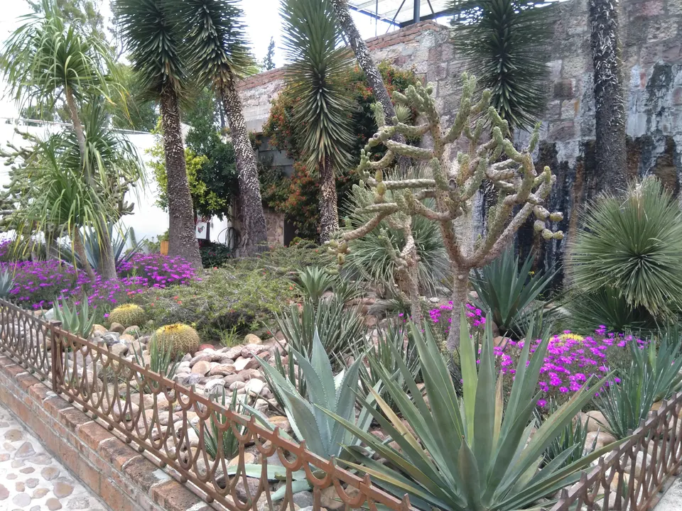 Jardines y galerías de arte contemporáneo de la antigua Fábrica La Aurora en San Miguel de Allende.