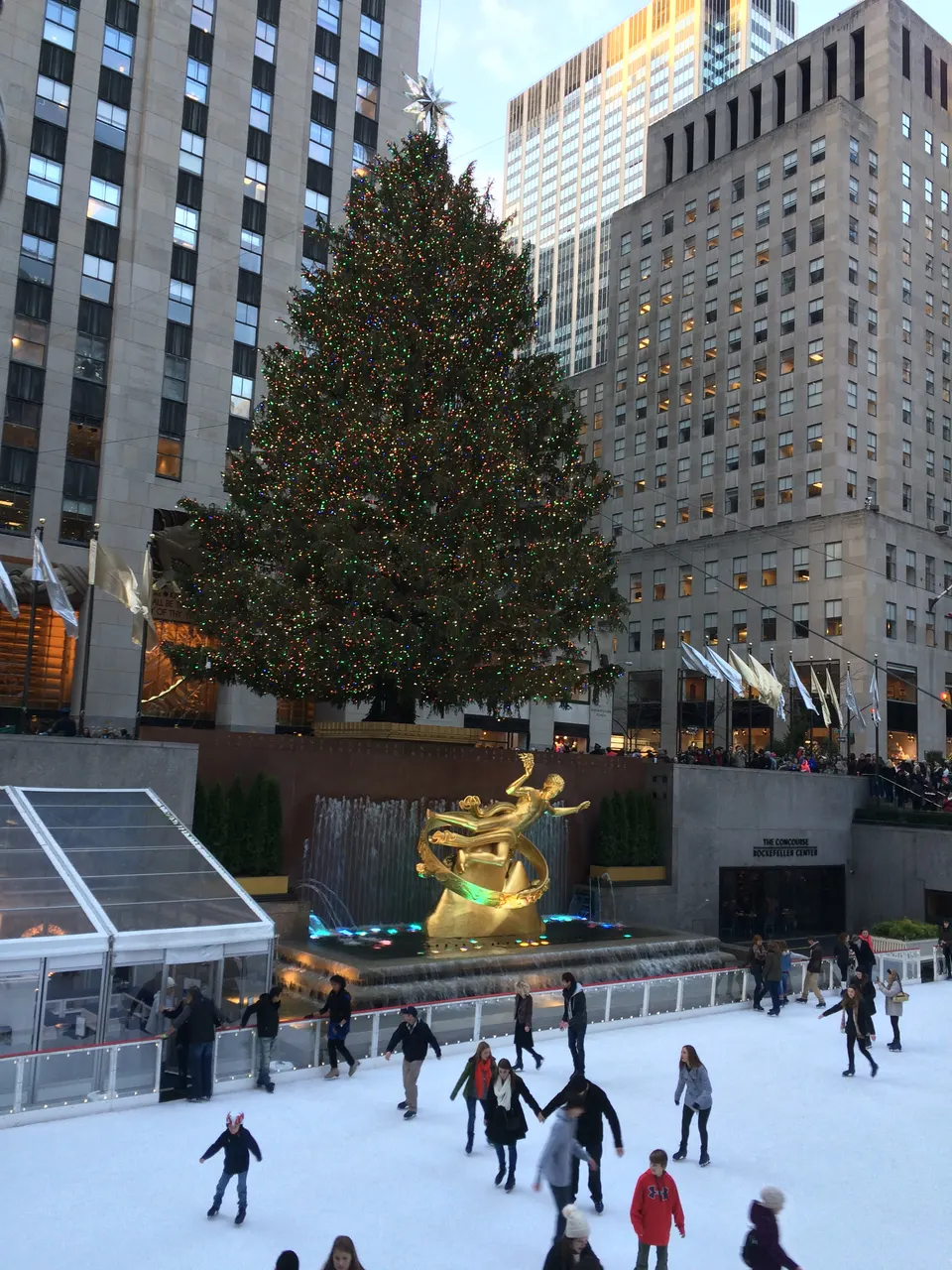 El árbol de Navidad del Rockefeller Center, junto a la pista de patinaje.