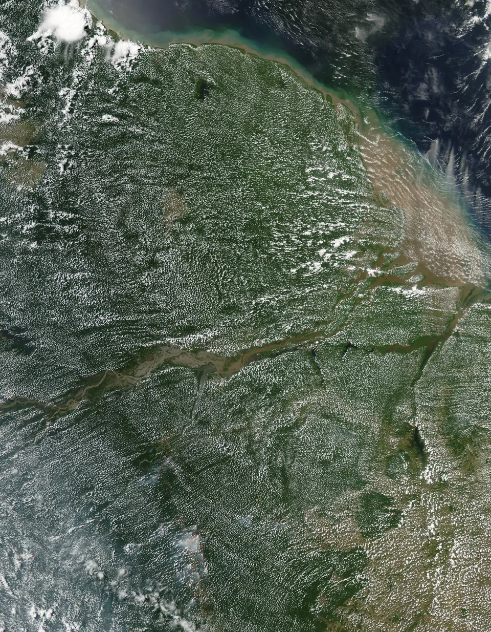 Vista aérea del bosque lluvioso tropical y los meandros del río Amazonas en el norte de Brasil.