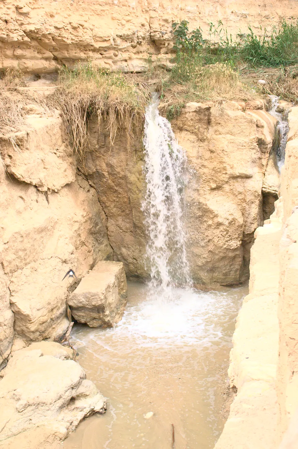 Cascada de montaña y palmeras en la garganta del oasis de Tamerza en el Atlas sahariano.