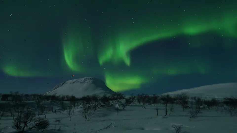 Cortina verde de auroras boreales iluminando el cielo estrellado sobre la taiga nevada de Laponia en Finlandia.