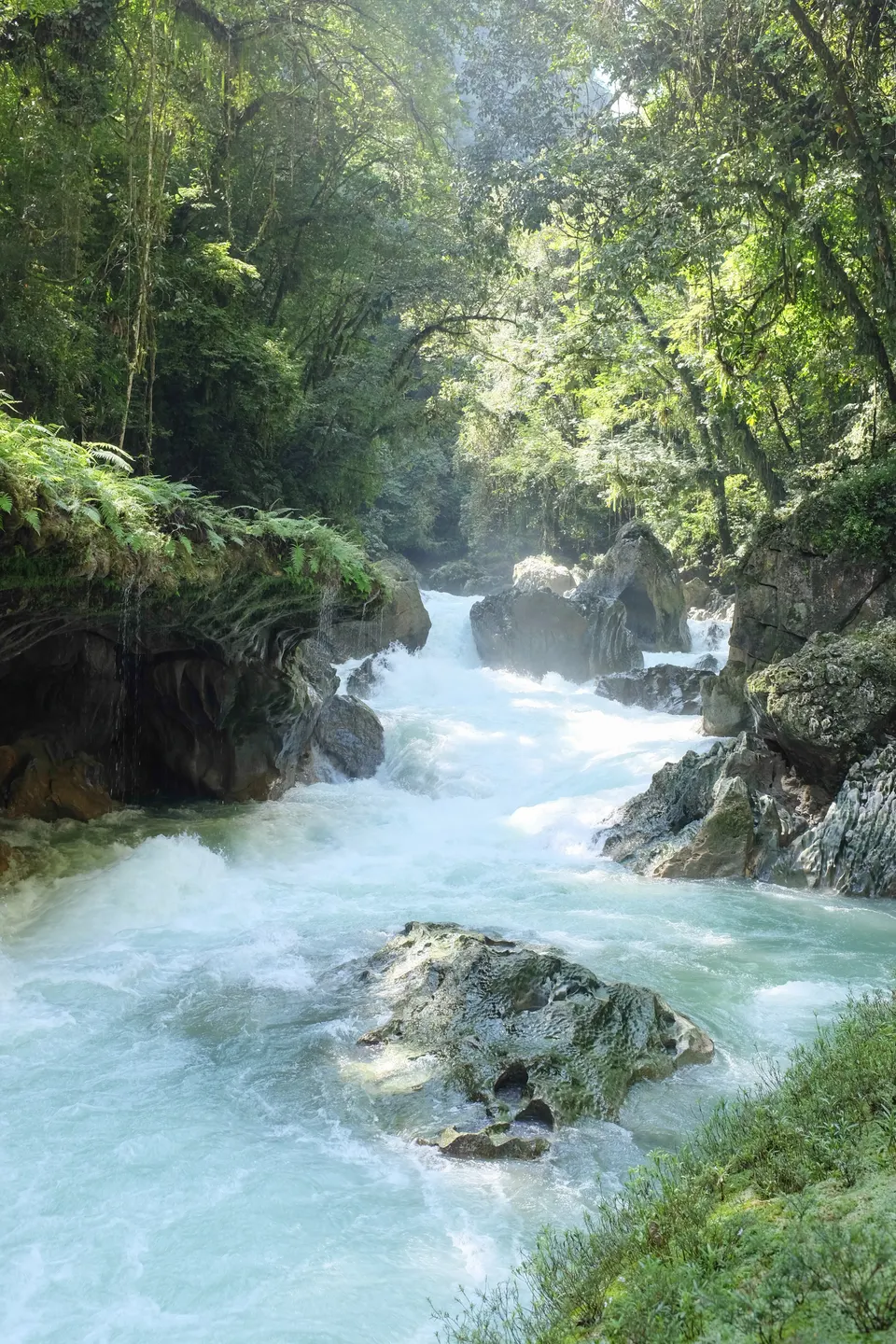 El Río Cahabón fluyendo con fuerza entre la densa selva de montaña de Alta Verapaz.
