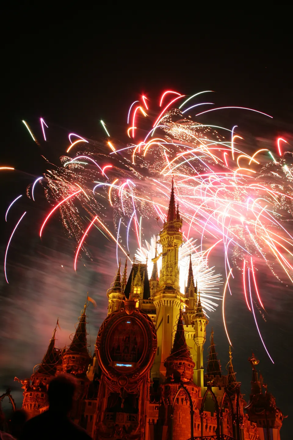 I took this picture at Walt Disney World en estados-unidos
