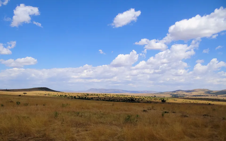 Manadas de cebras y antílopes dispersas por las amplias llanuras de Paradise Plains.