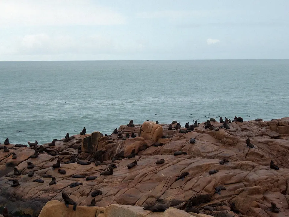 El parque Nacional Cabo Polonio, situado en el departamento de Rocha, Uruguay, sobre el Océano Atlántico, es un pequeño  en cabo-polonio