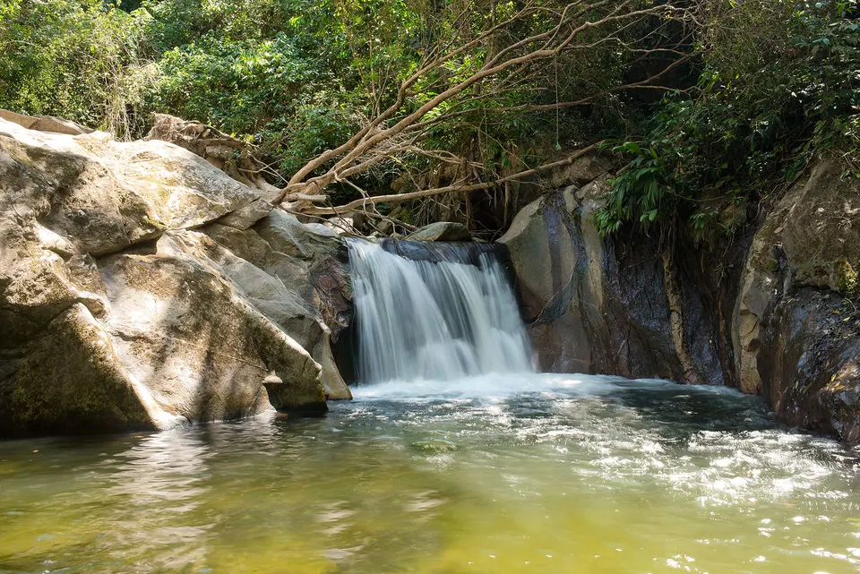 Cascada natural y densa vegetación de selva de montaña en el pueblo cafetero de Minca