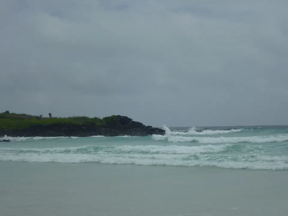 Bahía Tortuga Playa  en la ila de Santa Cruz Galapagos en galapagos