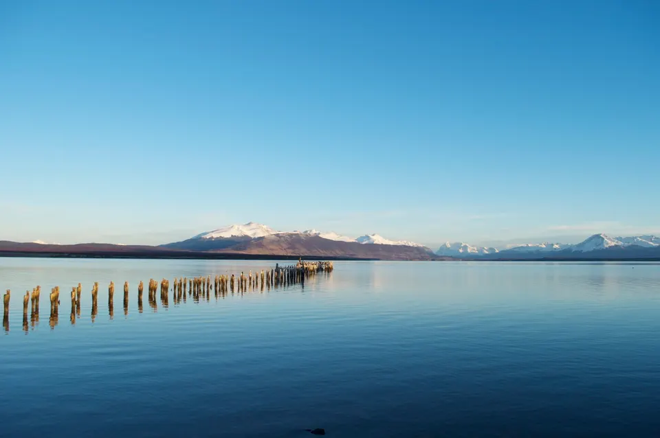 Pilotes de madera del antiguo muelle Braun y Blanchard emergiendo de las aguas del fiordo Última Esperanza en Puerto Natales