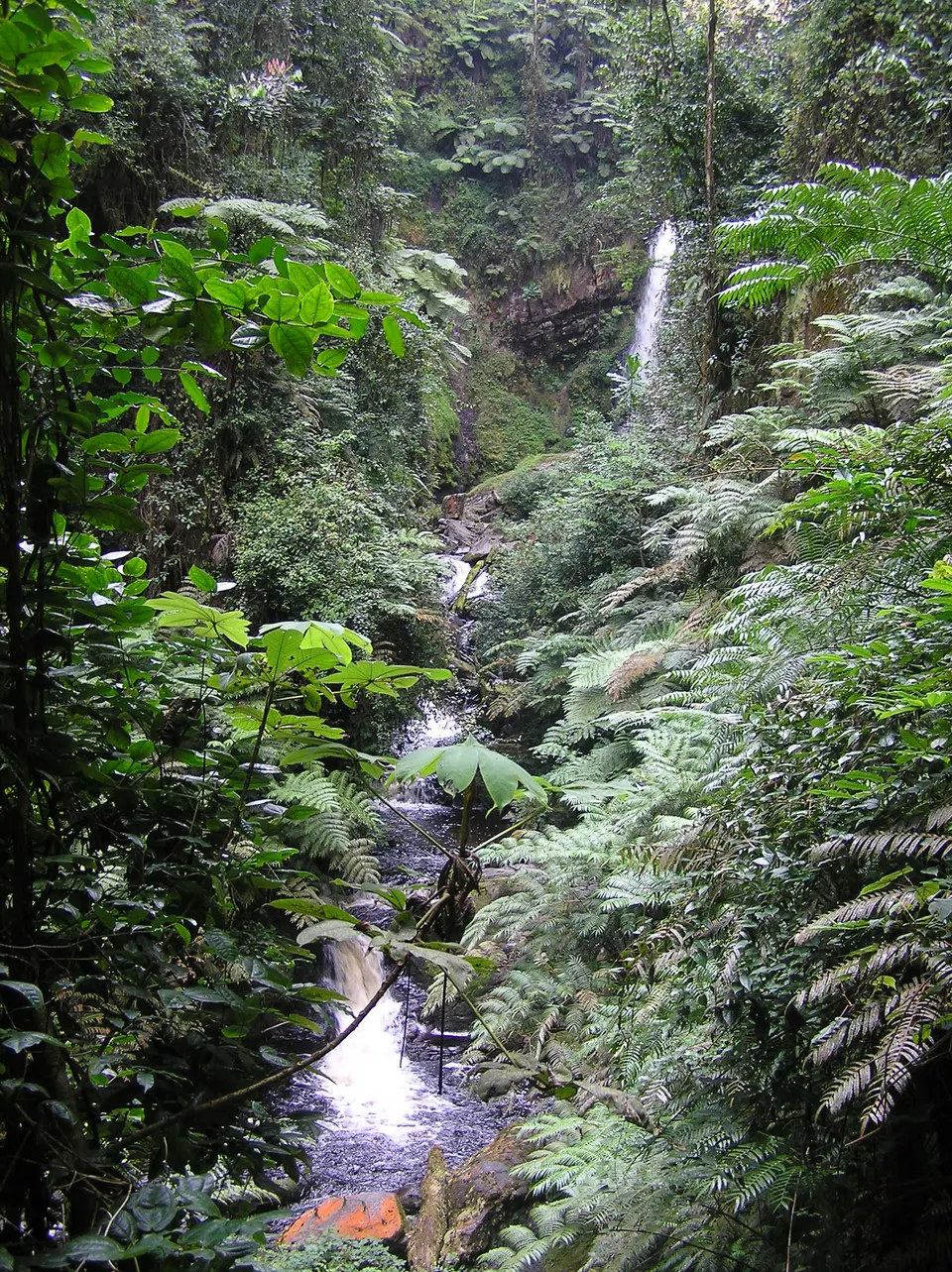 Caída de agua de la cascada Kamiranzovu precipitándose sobre una garganta selvática húmeda.